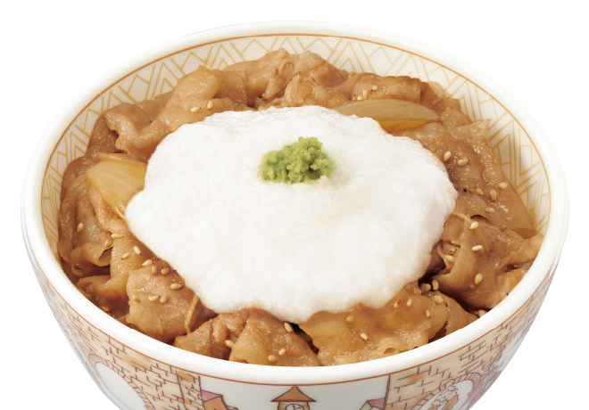 image of Porkricebowl with Grated Radish