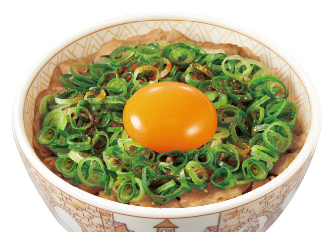 image of Pork Rice Bowl w/ Green Onion and Raw Egg