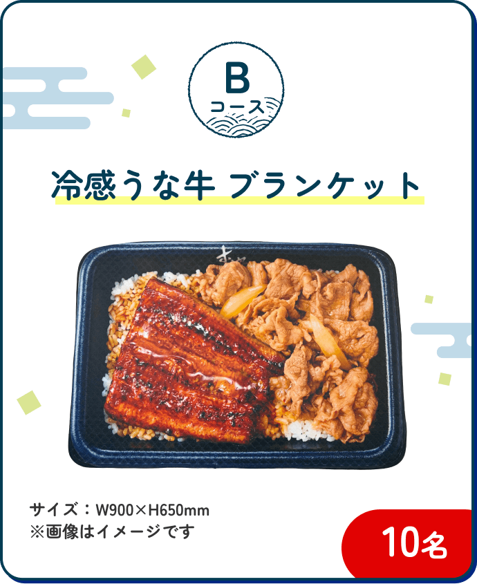 Bコース 冷感うな牛ブランケット 10名|サイズ:W900×H650mm